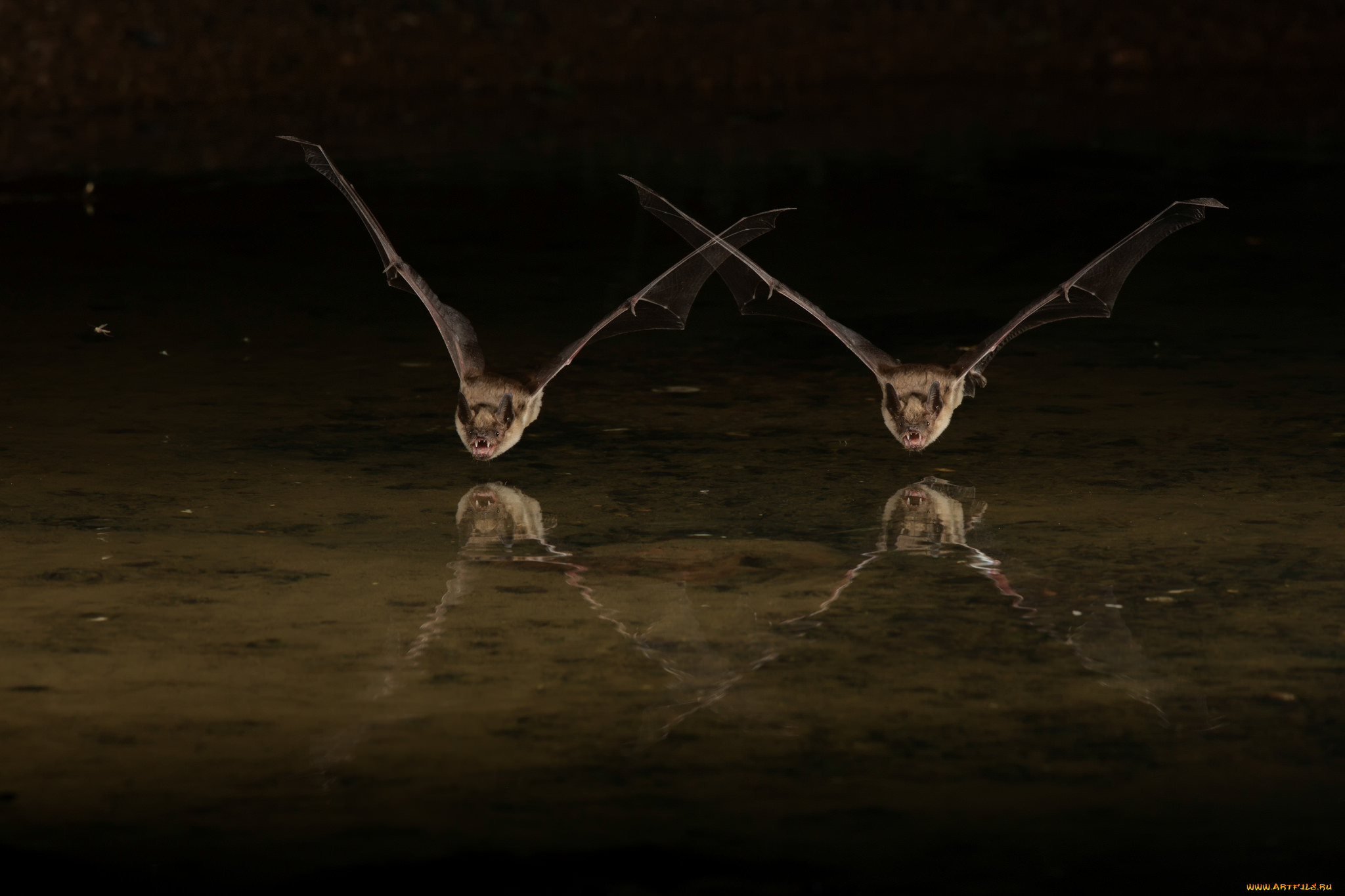 ,  , , , , , , 